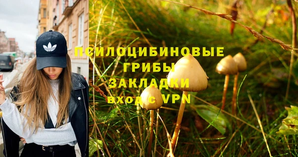 марки lsd Зерноград