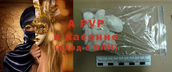 сатива Иннополис