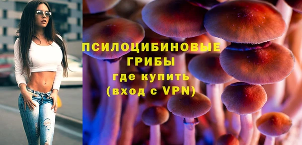 дживик Зеленодольск