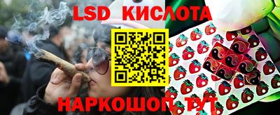 эйфоретик Обнинск