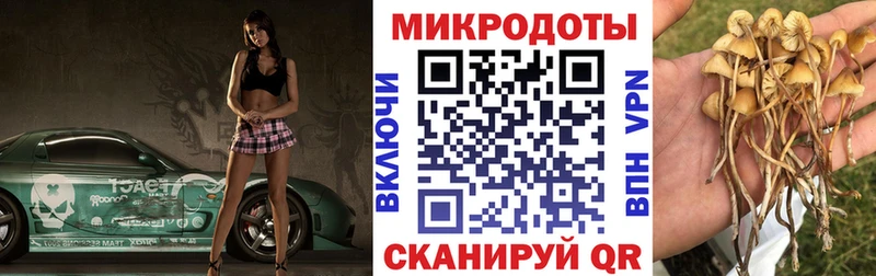 Псилоцибиновые грибы Psilocybe  продажа наркотиков  Лыткарино 