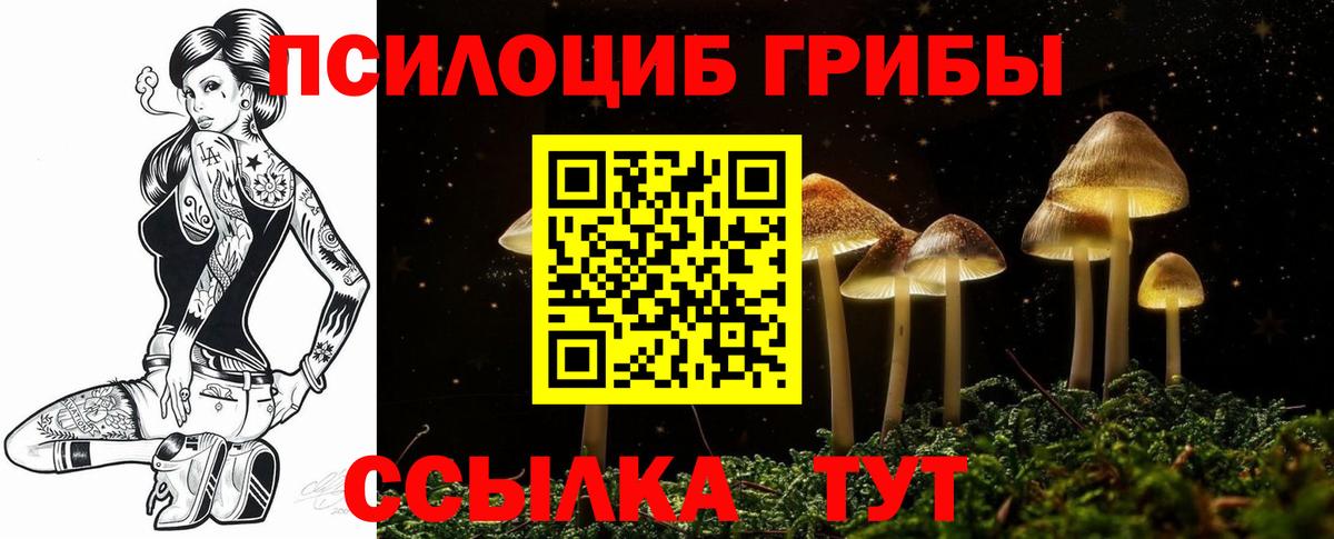 Лыткарино  Псилоцибиновые грибы ЛСД  Галлюциногенные грибы MAGIC MUSHROOMS  Вход с VPN 